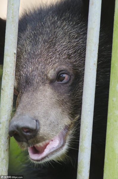 梦到褐色代表什么_褐色梦境预示什么