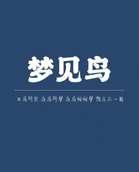 梦到鸟羽毛是什么意思_梦见鸟羽毛掉落的预兆