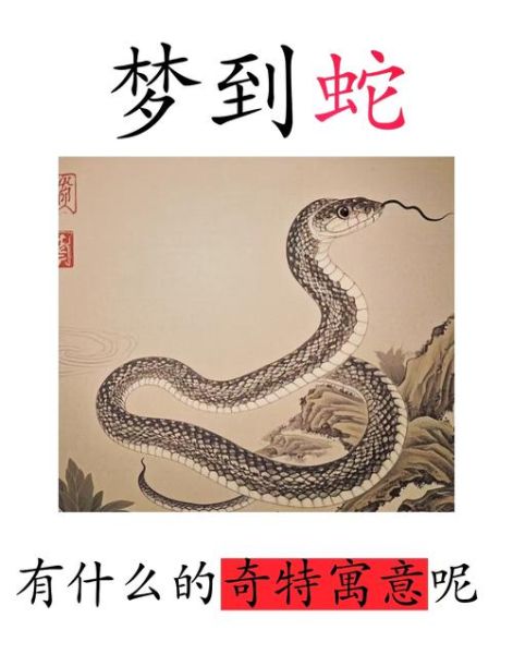 老梦到蛇是怎么回事_梦见蛇的寓意