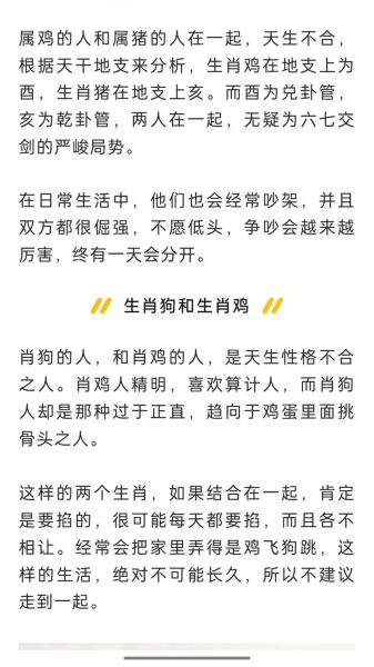 狗和鸡属相合不合_狗鸡相冲还是相合