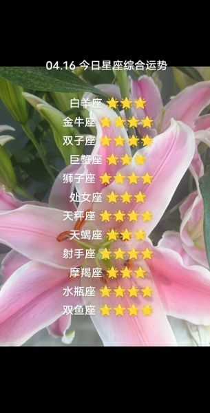 氧气2016年1月运势_2016年1月星座运势详解