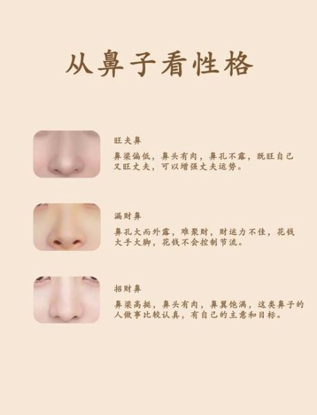 鼻子垫高财运_鼻子垫高真的能招财吗