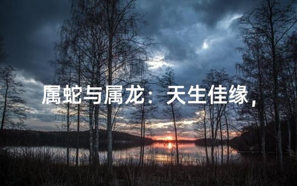 属龙和属蛇相克吗_属龙与属蛇相冲还是相合