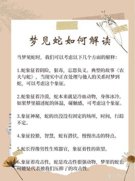 梦到一群小蛇是什么意思_梦见很多小蛇预示什么