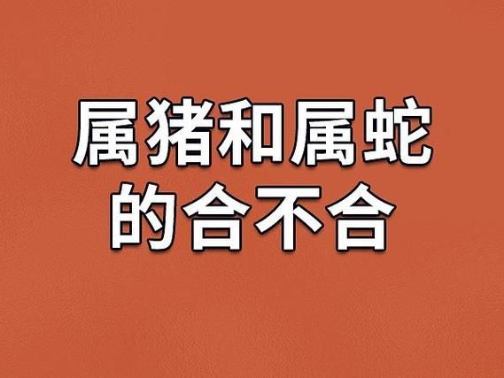 蛇与猪属相相合吗_婚姻财运如何