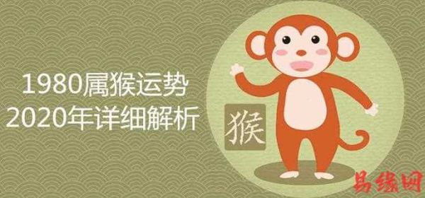 属猴2017年每月运势详解_属猴人2017年运势如何