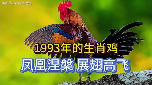 1993属鸡2017年运势怎么样_1993属鸡2017年运程如何