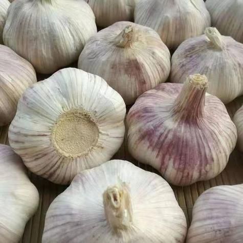 梦到好多蒜是什么意思_梦见大蒜成堆预示什么