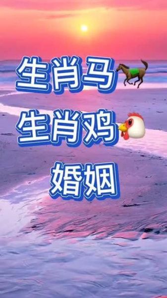 鸡属相和马属相合不合_鸡马婚配好吗