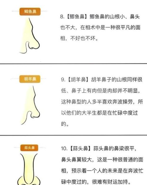 鼻头有肉财运真的好吗_鼻头有肉面相怎么提升财运