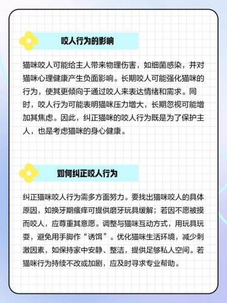 梦到被猫咬是什么意思_如何避免噩梦