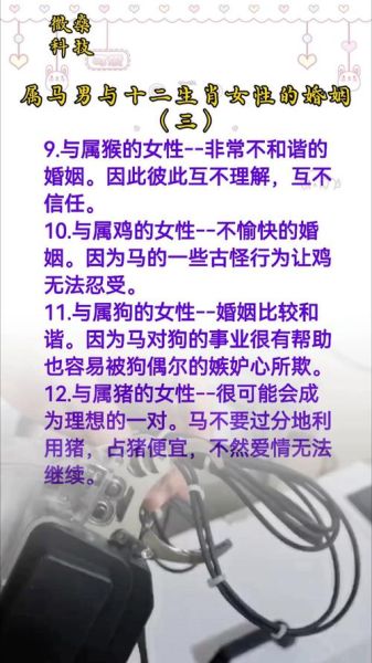 马男和什么属相最配_马男婚配宜忌