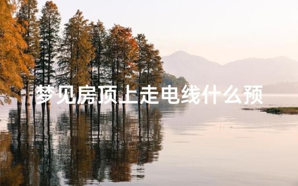 梦到架电线是什么意思_梦见架电线预示什么