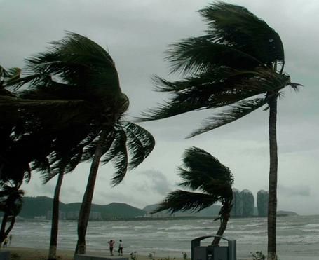 梦到刮大风关窗户_周公解梦准吗