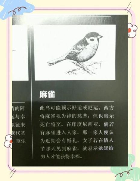 梦到麻雀是什么意思_梦到麻雀的预兆