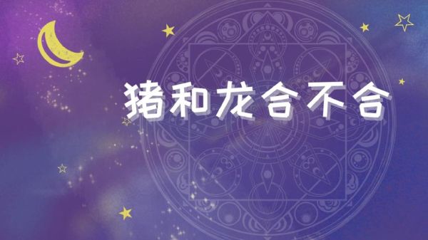 猪跟龙的属相合不合_婚姻事业财运全解析
