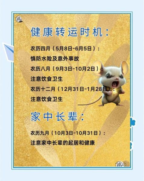 鼠人遇狗年运势如何_2024年属鼠人全年运程