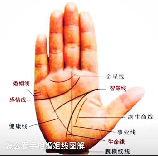 财运线穿破婚姻线_手相预示什么