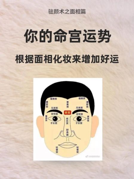 眉毛运势图怎么看_眉毛真的能决定命运吗
