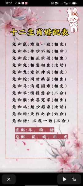 蛇和兔子属相婚配好吗_蛇兔夫妻如何化解相冲
