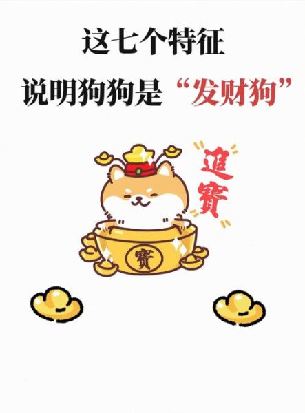 财运狗图片有什么寓意_如何摆放最招财