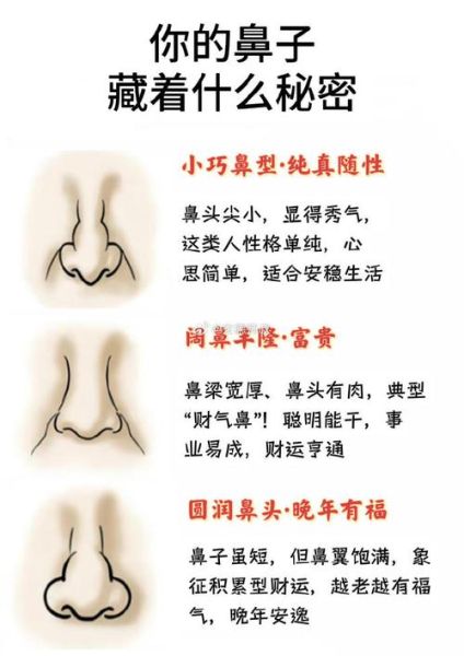 鼻形看财运_如何通过鼻子判断财富运势