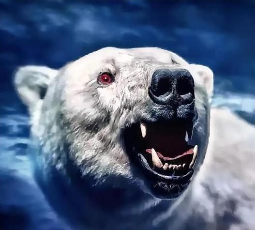 梦到杀死熊是什么意思_梦见杀熊预示什么