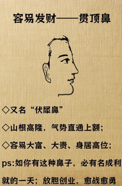 鼻子流年运势怎么看_鼻子运势逐年变化解析