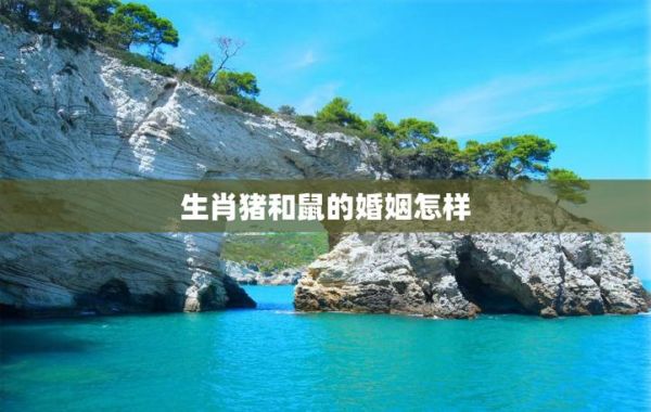 老鼠和猪合不合_属鼠与属猪婚配好吗