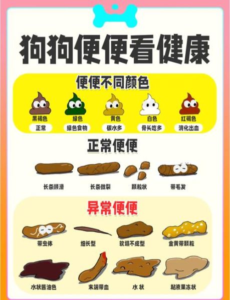 梦到狗拉屎是什么预兆_梦见狗大便代表什么