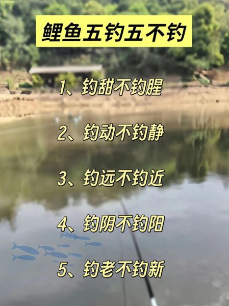 钓鱼能招财吗_钓鱼与财运的关系