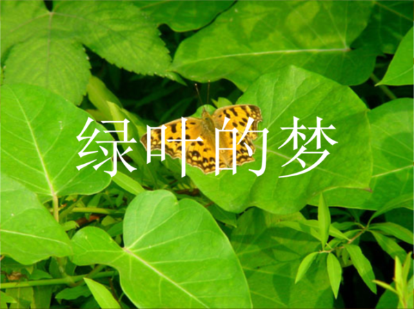 梦到绿色草是什么意思_绿色草梦境解析