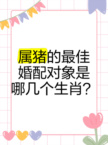 男猪的最佳配偶属相_属猪男婚配宜忌