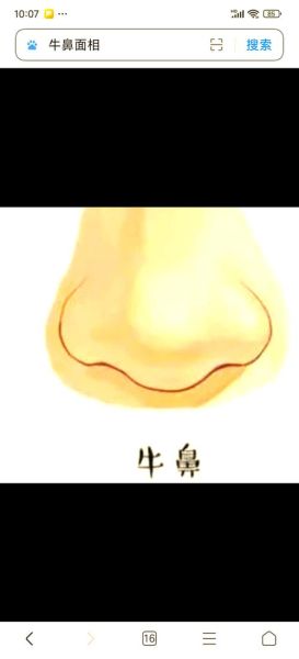 鼻孔大财运好吗_鼻孔大的人财运如何