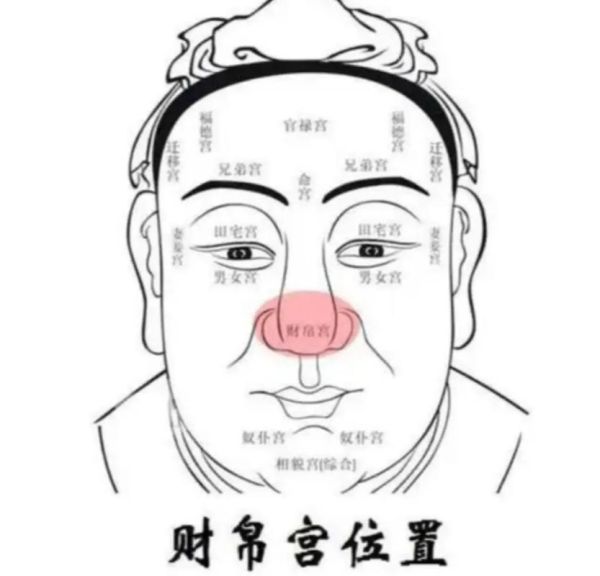 鼻孔小财运_鼻孔小的人财运好吗
