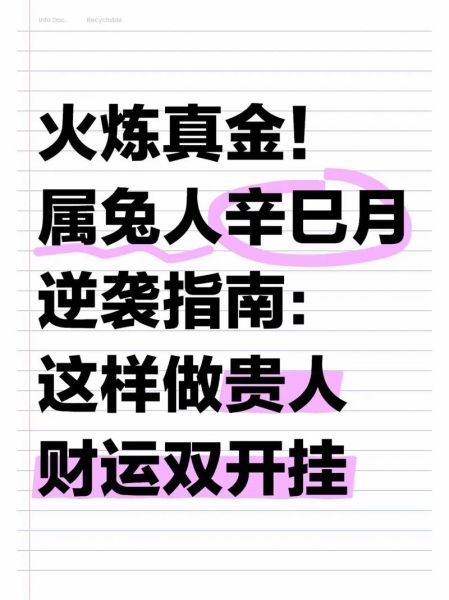 鸡年属兔运势如何_兔人2025年运程详解