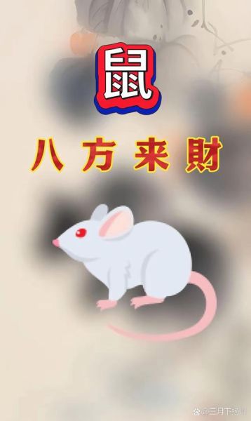 猪年属鼠财运_属鼠人猪年如何提升财运