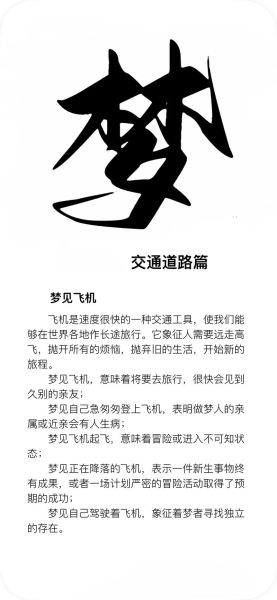 梦到飞机迫降是什么意思_梦到飞机迫降预示着什么