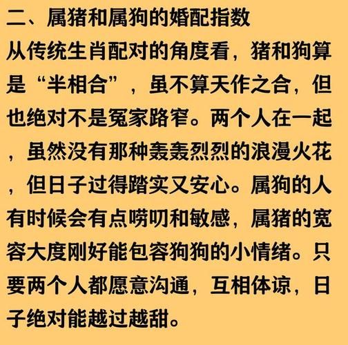 家里属相猪狗好吗_猪狗同住的利与弊