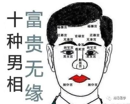 面相怎么看财运_面相与财富的关系