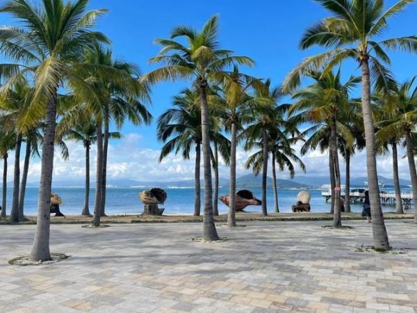 梦到去三亚是什么意思_三亚旅游梦境解析