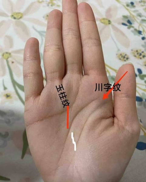 男人右手川字掌运势_川字掌手相图解