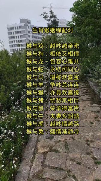 马和猴的属相合不合_婚姻财运事业解析