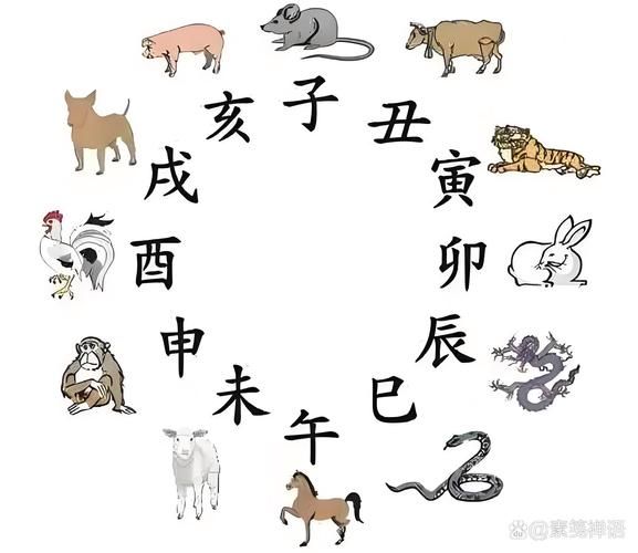 苏东坡属什么生肖_苏东坡生肖之谜