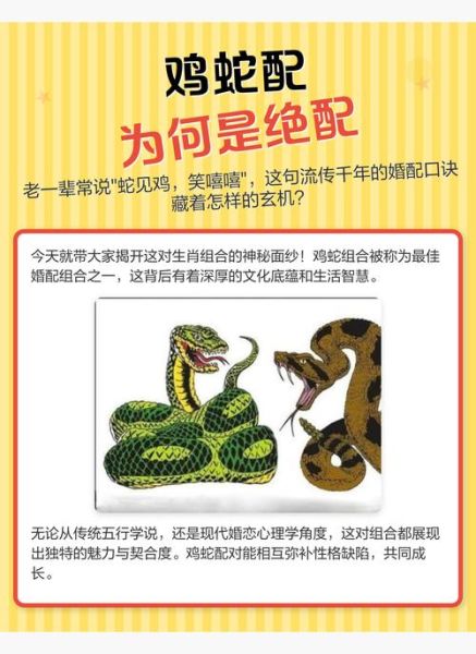 鸡和蛇属相婚配好吗_鸡蛇相冲还是相合