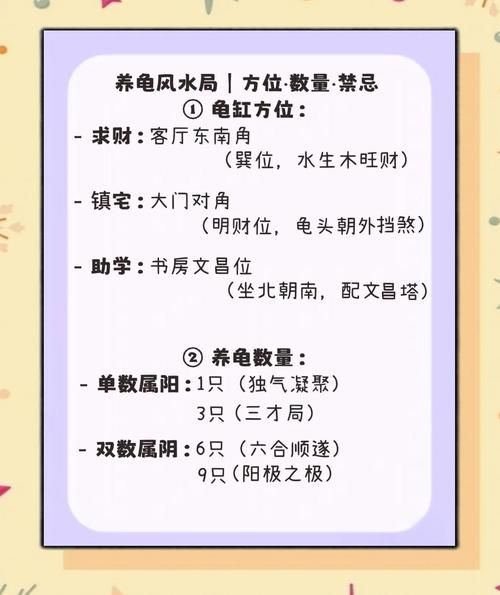 运势乌龟压是什么意思_乌龟压如何化解