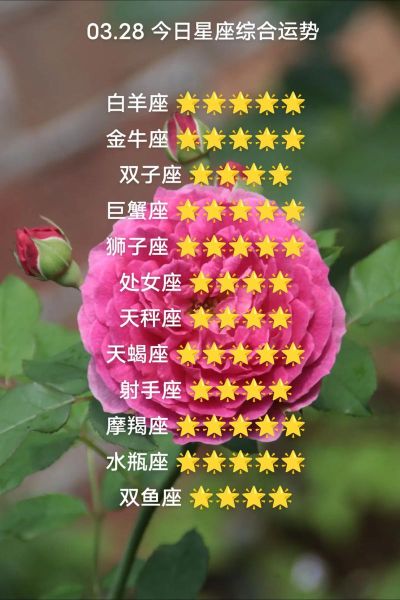 白羊座2019爱情运势_如何提升桃花运