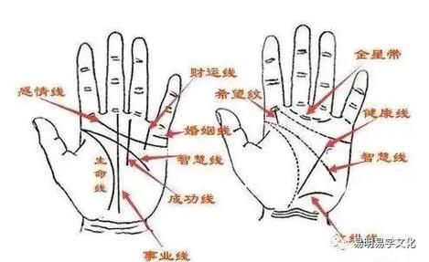 财运线分叉好吗_财运线分叉代表什么