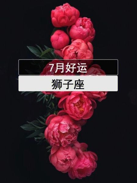 狮子座7月4号运势_如何提升今日好运