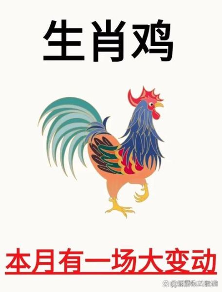鸡逢鸡年运势如何_本命年要注意什么